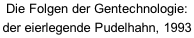 Die Folgen der Gentechnologie:  der eierlegende Pudelhahn, 1993