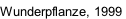 Wunderpflanze, 1999